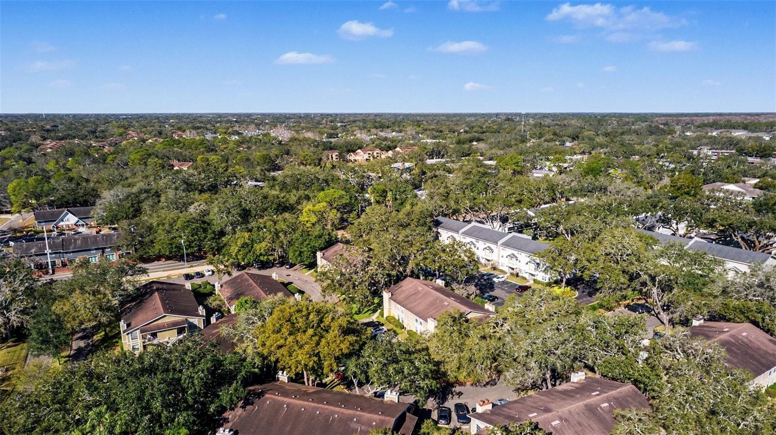 Image 30 of 32 For 14312 Hanging Moss Circle 101