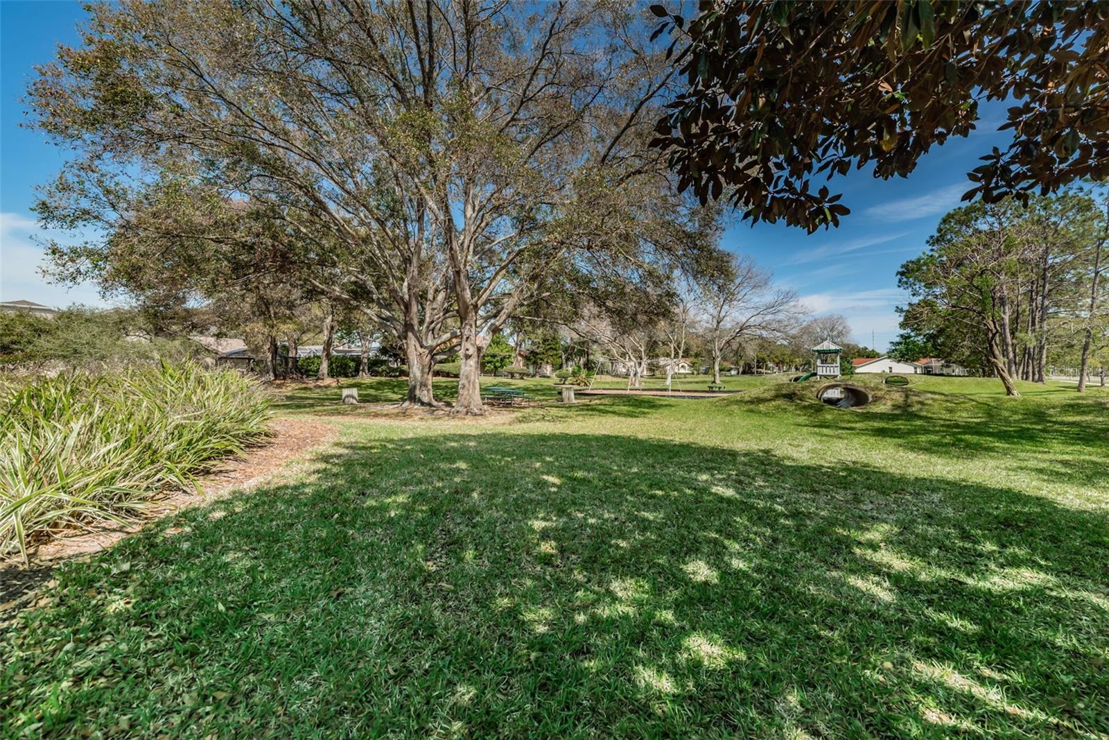 Image 62 of 65 For 2700 Jarvis Circle