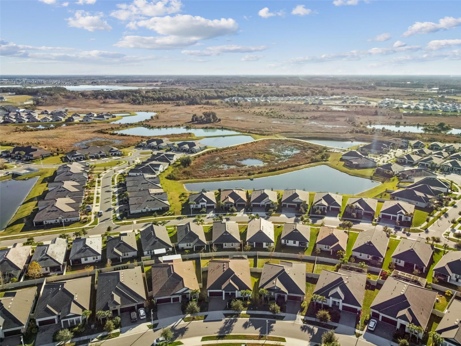 Image 80 of 100 For 31516 Cabana Rye