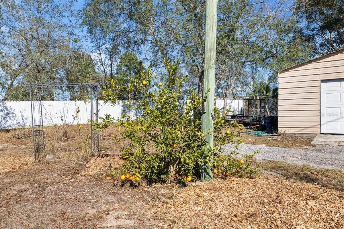 Image 36 of 40 For 13205 Star Road