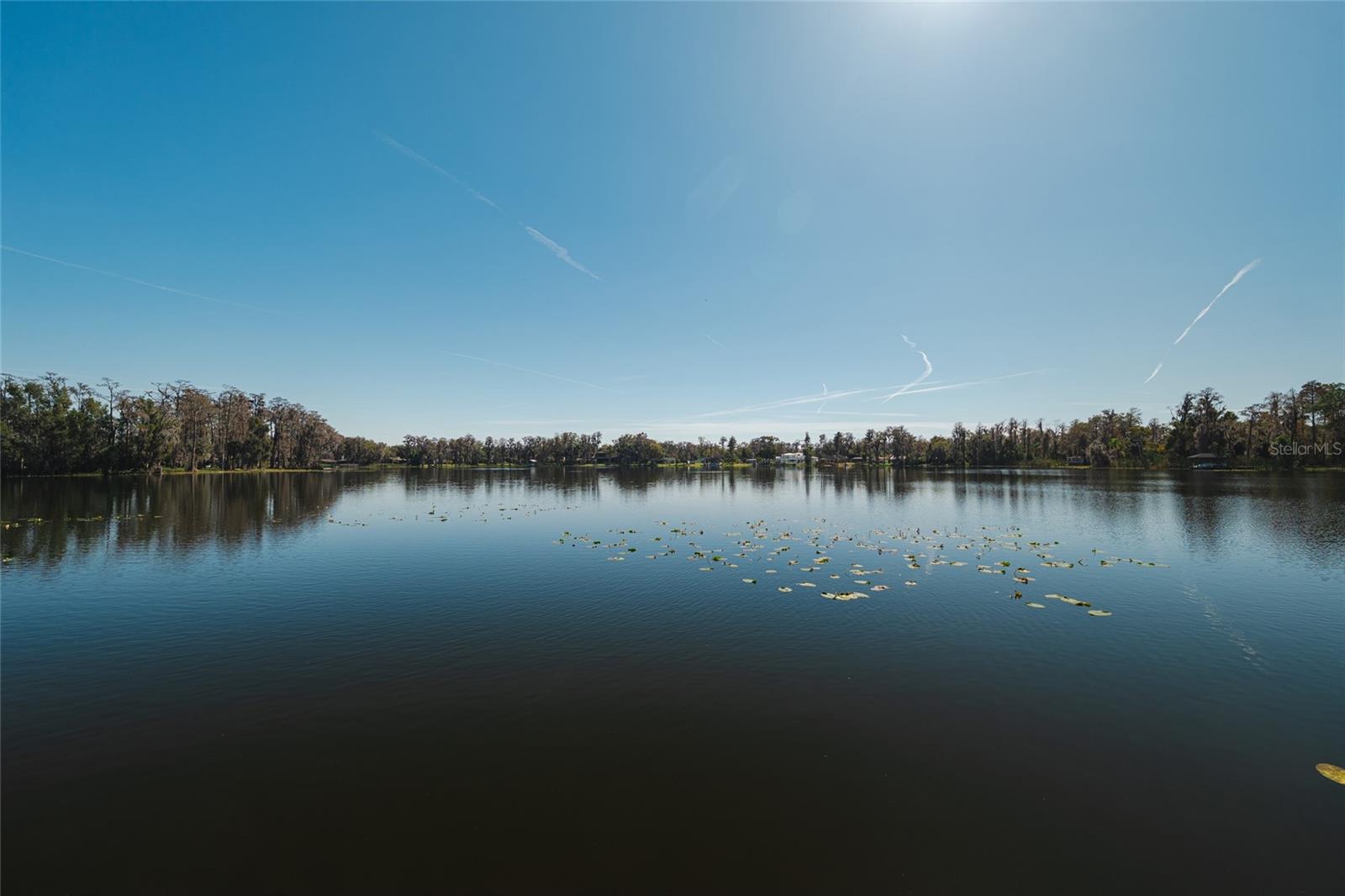 Image 61 of 81 For 602 Druid Way