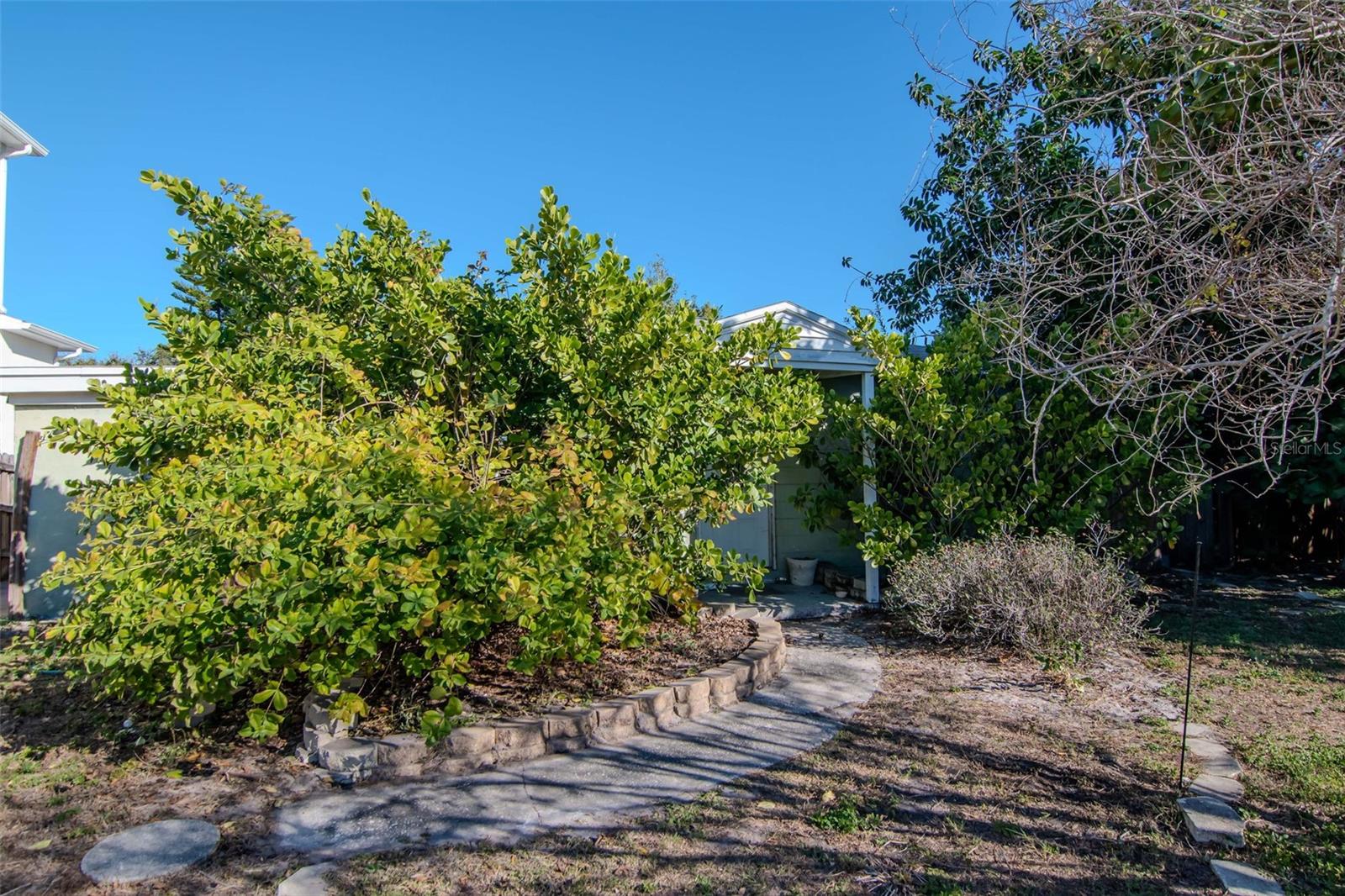 Image 12 of 21 For 3005 Meadow Street