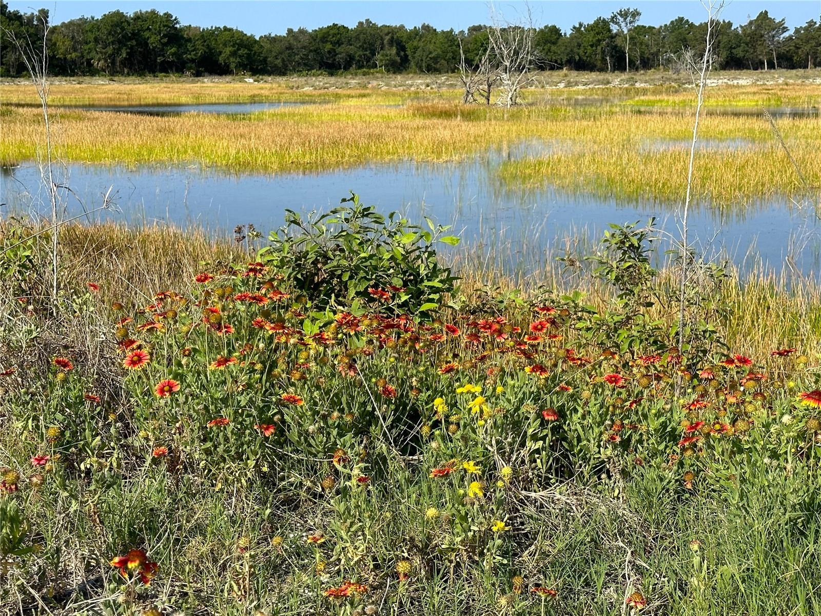 Listing photo id 30 for 10531 36th Street N