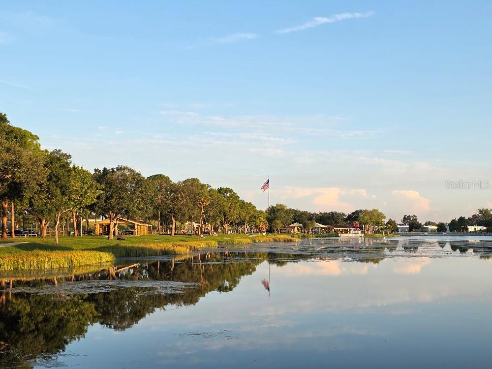 Listing photo id 37 for 10531 36th Street N