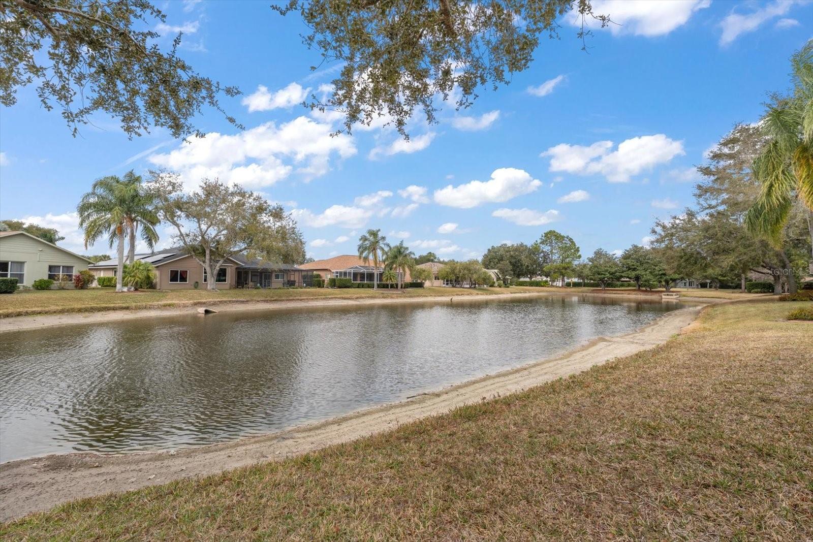 Listing photo id 36 for 1237 Rambling Vine Court