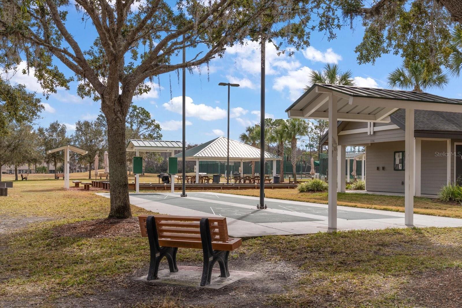 Listing photo id 44 for 1237 Rambling Vine Court