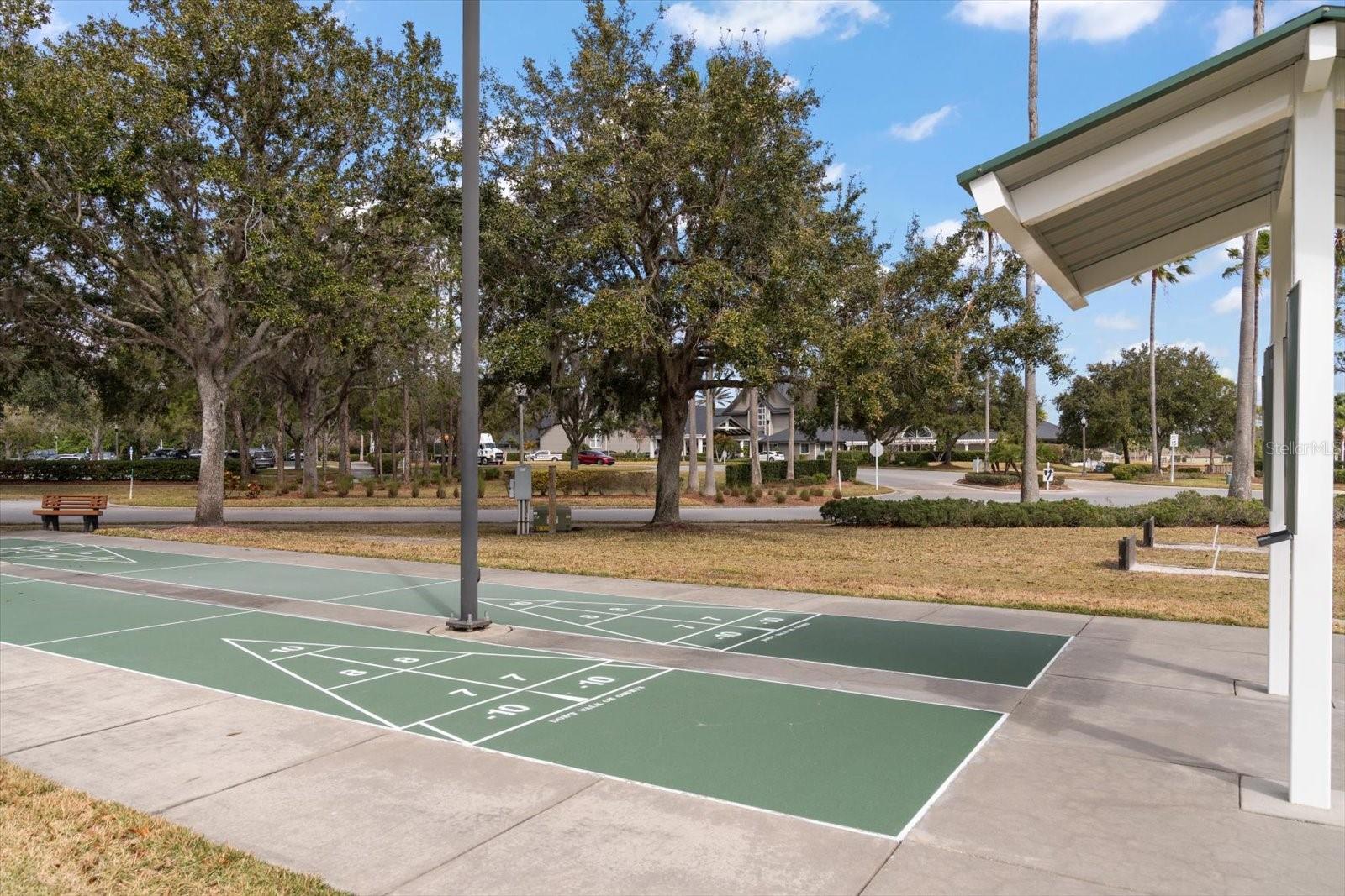 Listing photo id 47 for 1237 Rambling Vine Court