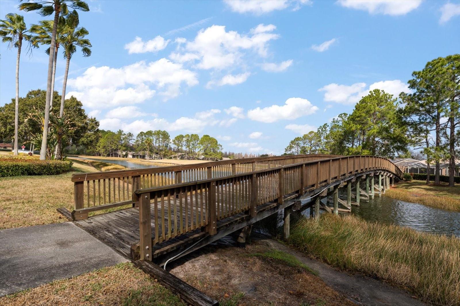 Listing photo id 64 for 1237 Rambling Vine Court