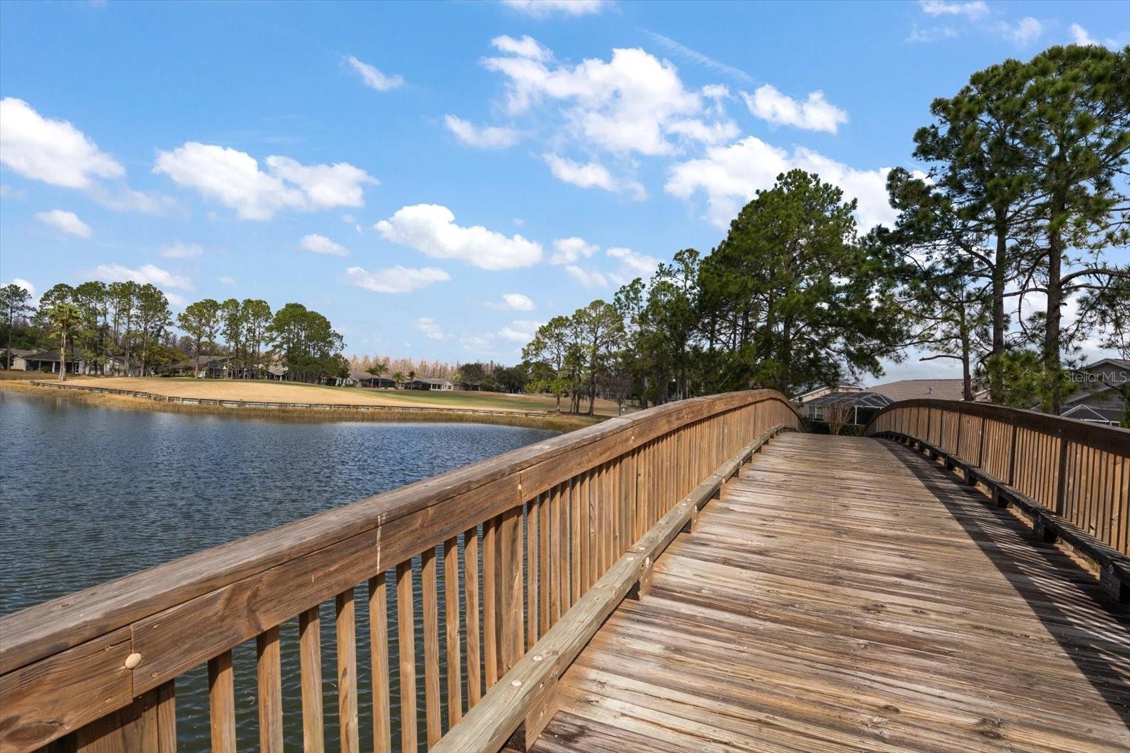 Listing photo id 65 for 1237 Rambling Vine Court