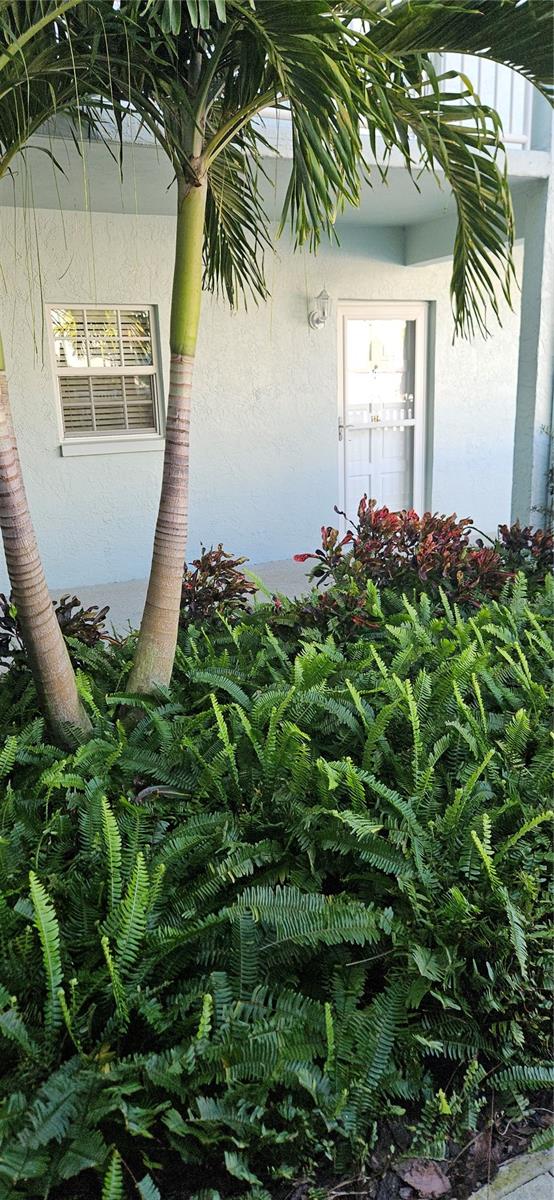 Image 3 of 24 For 701 Poinsettia Road 126