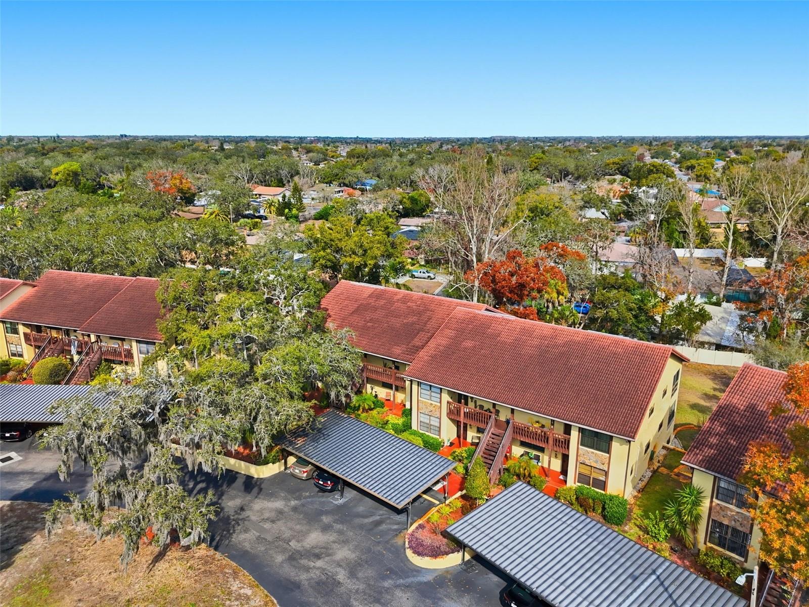 Image 29 of 33 For 7715 Forest Trail 5