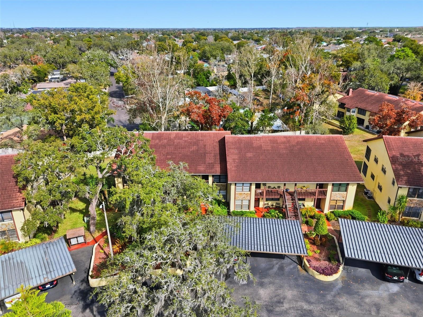 Image 30 of 33 For 7715 Forest Trail 5