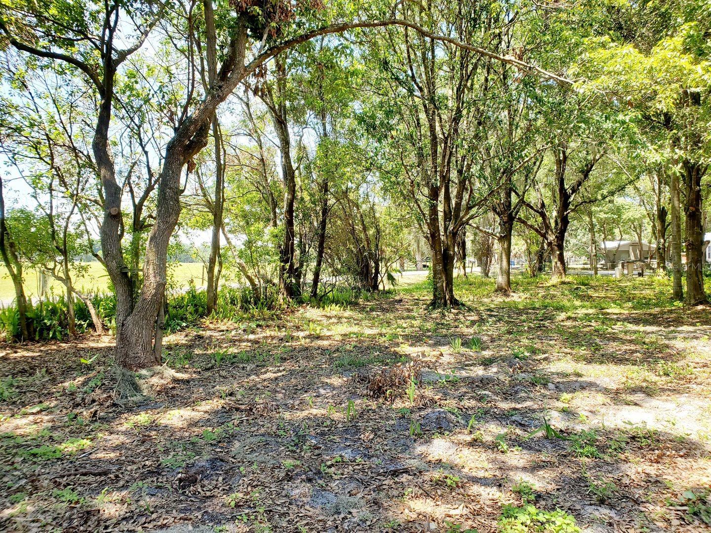 Image 14 of 14 For 209 Wiggins Road