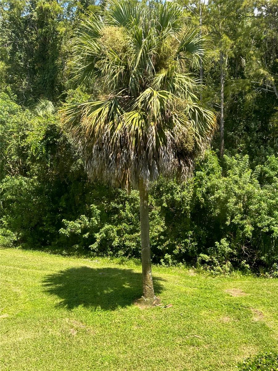 Image 26 of 44 For 2460 Persian Drive 44