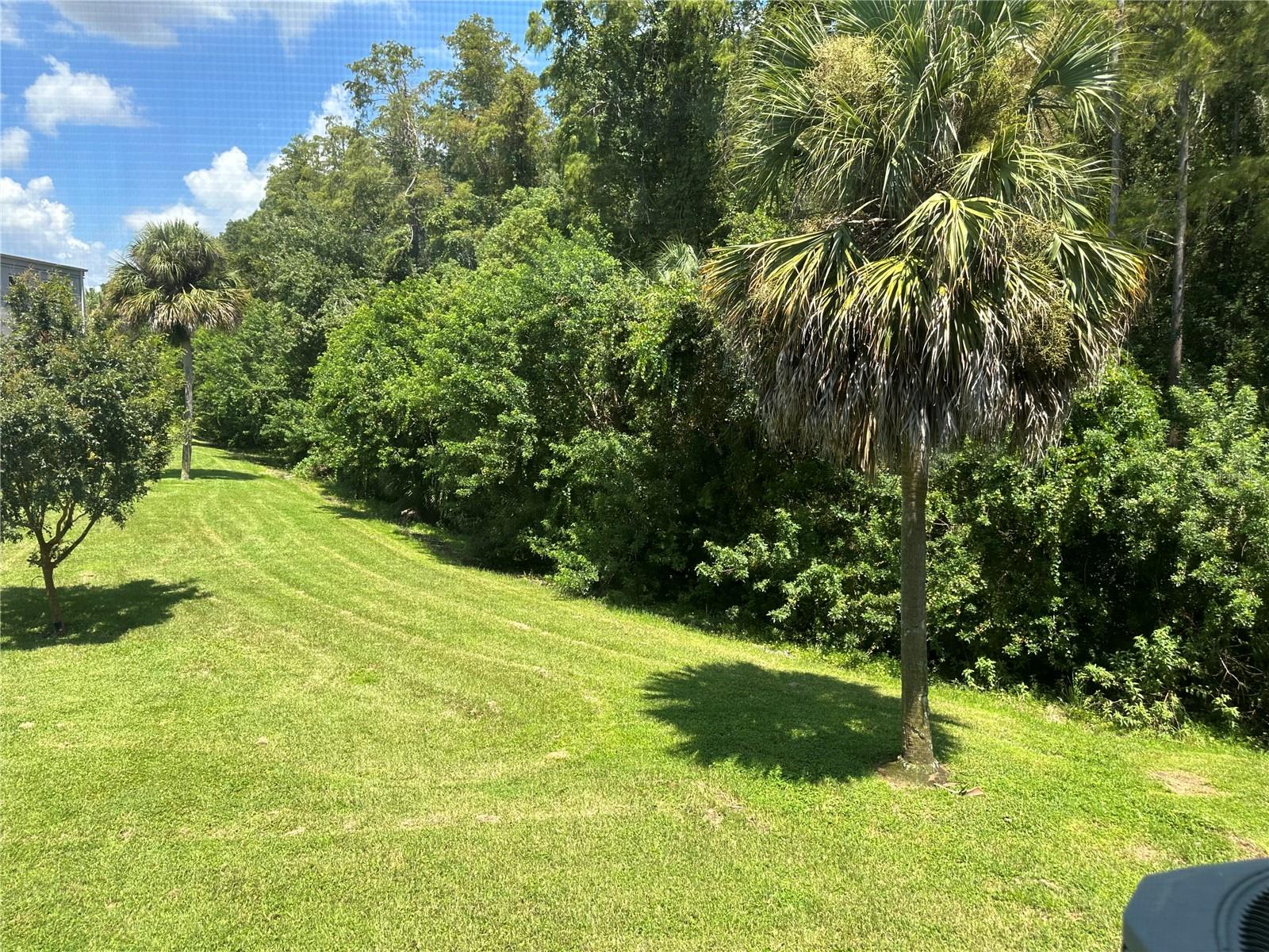 Image 29 of 44 For 2460 Persian Drive 44