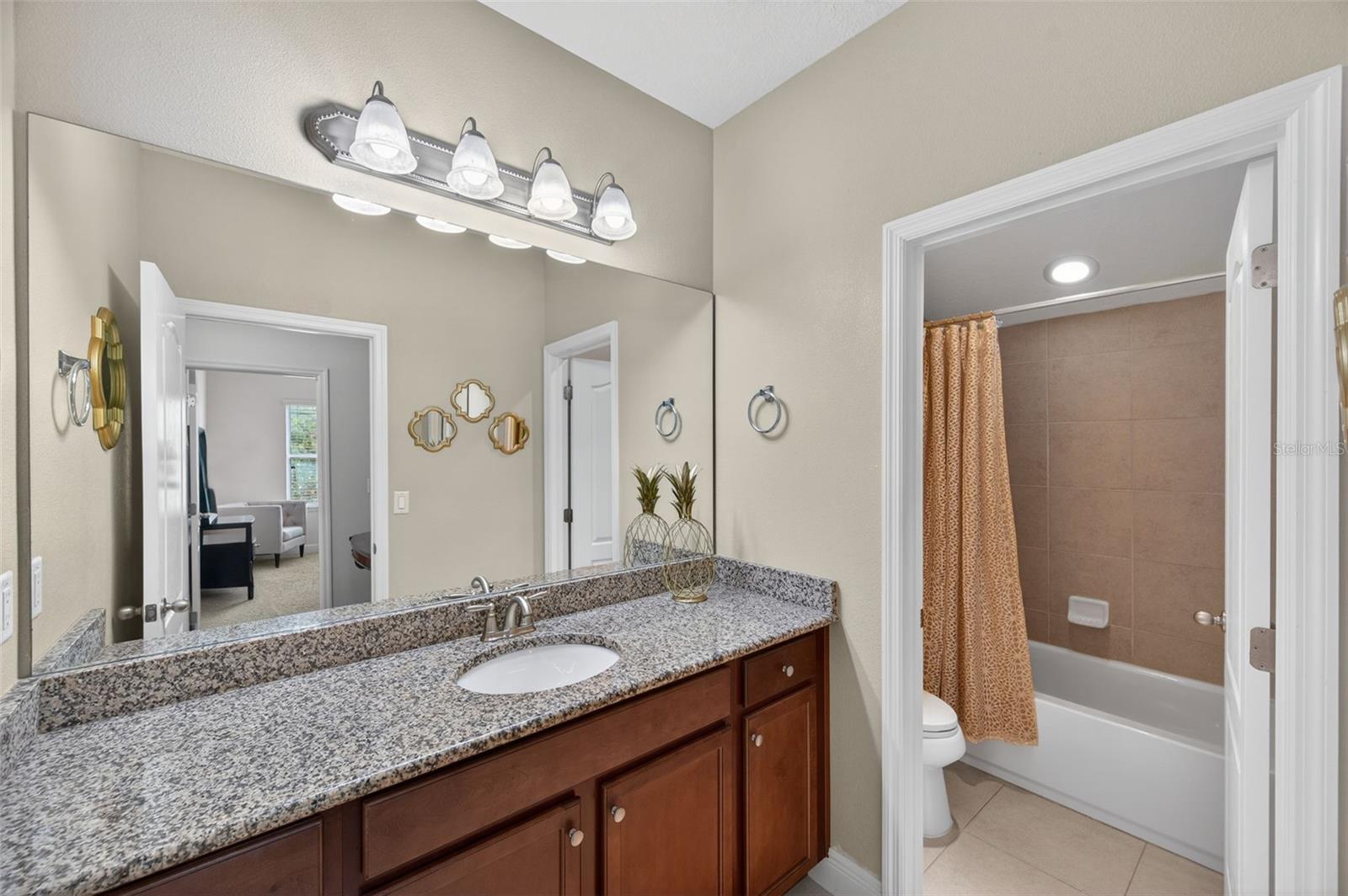 Image 41 of 69 For 17019 Vilesta Drive