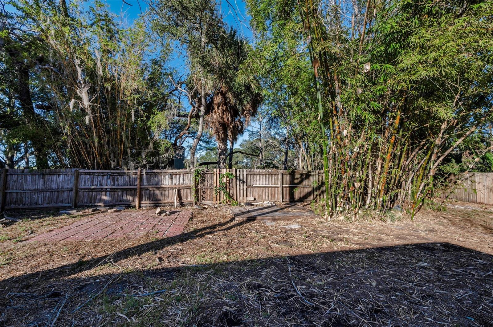 Listing photo id 24 for 406 Orchid Lane