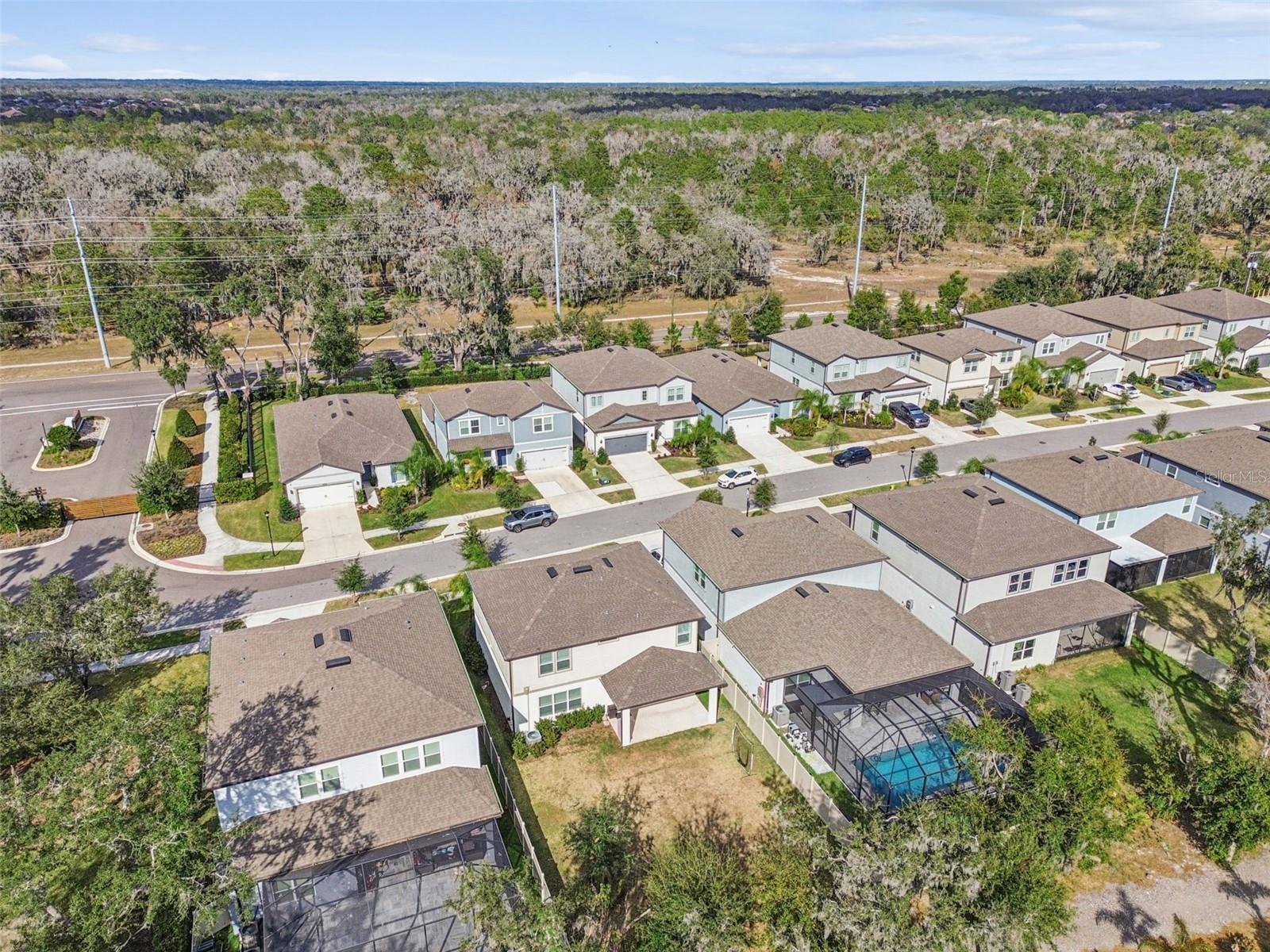 Image 53 of 63 For 14161 Hammock Crest Way