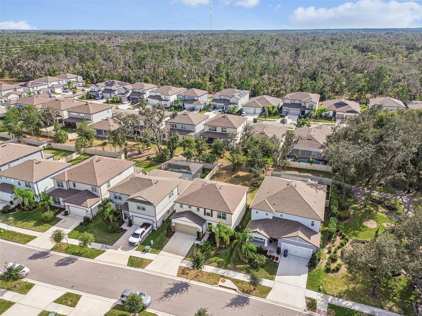 Image 54 of 63 For 14161 Hammock Crest Way