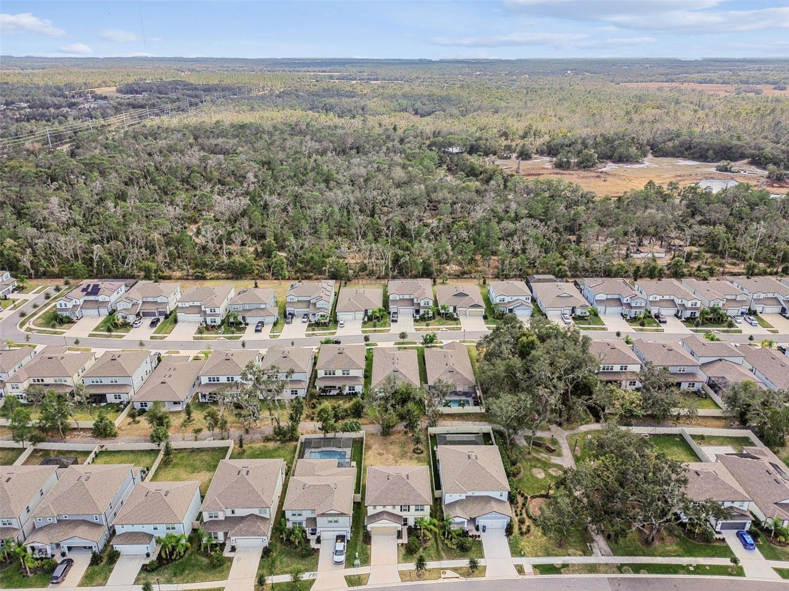 Image 55 of 63 For 14161 Hammock Crest Way