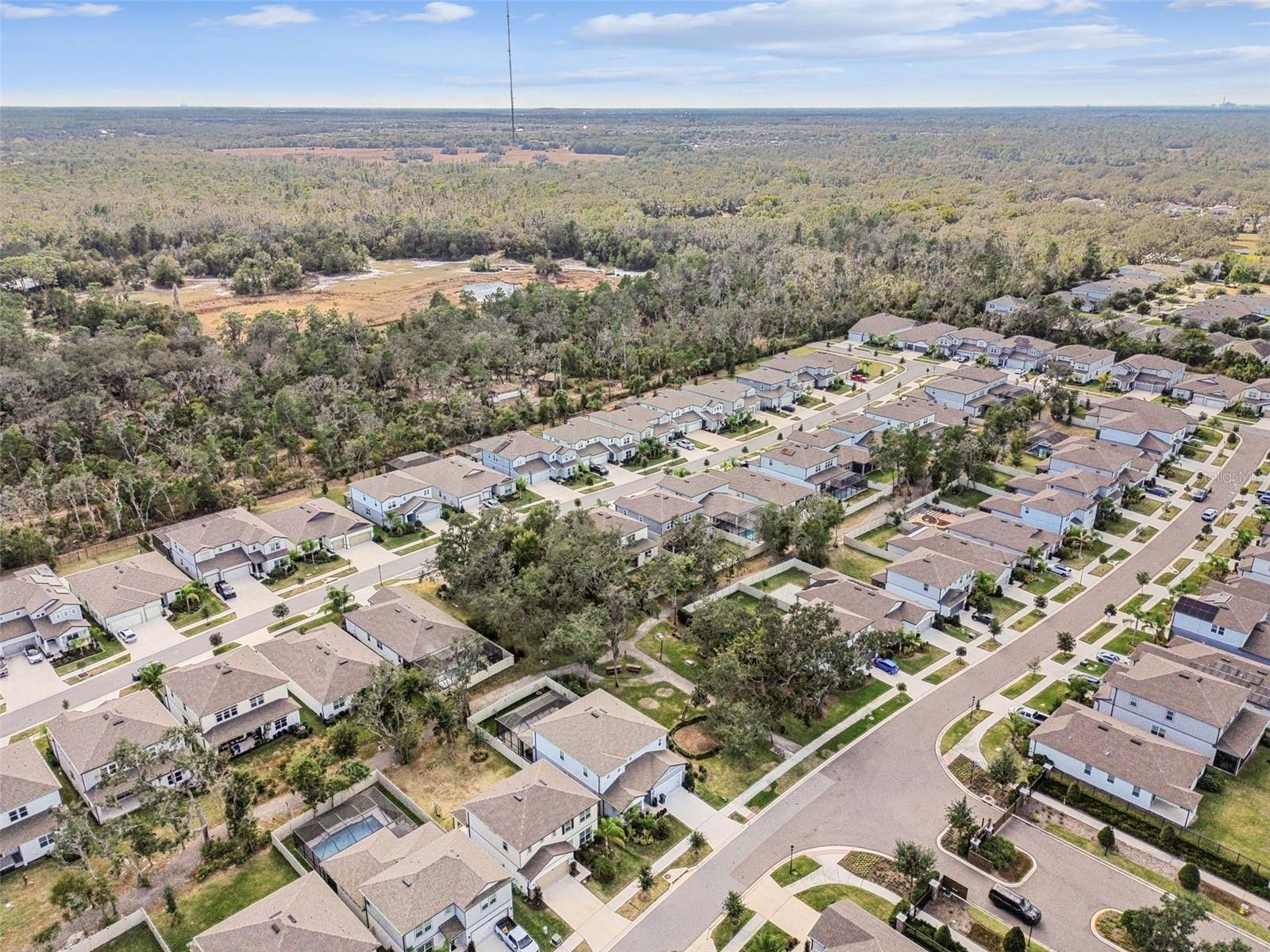 Image 56 of 63 For 14161 Hammock Crest Way