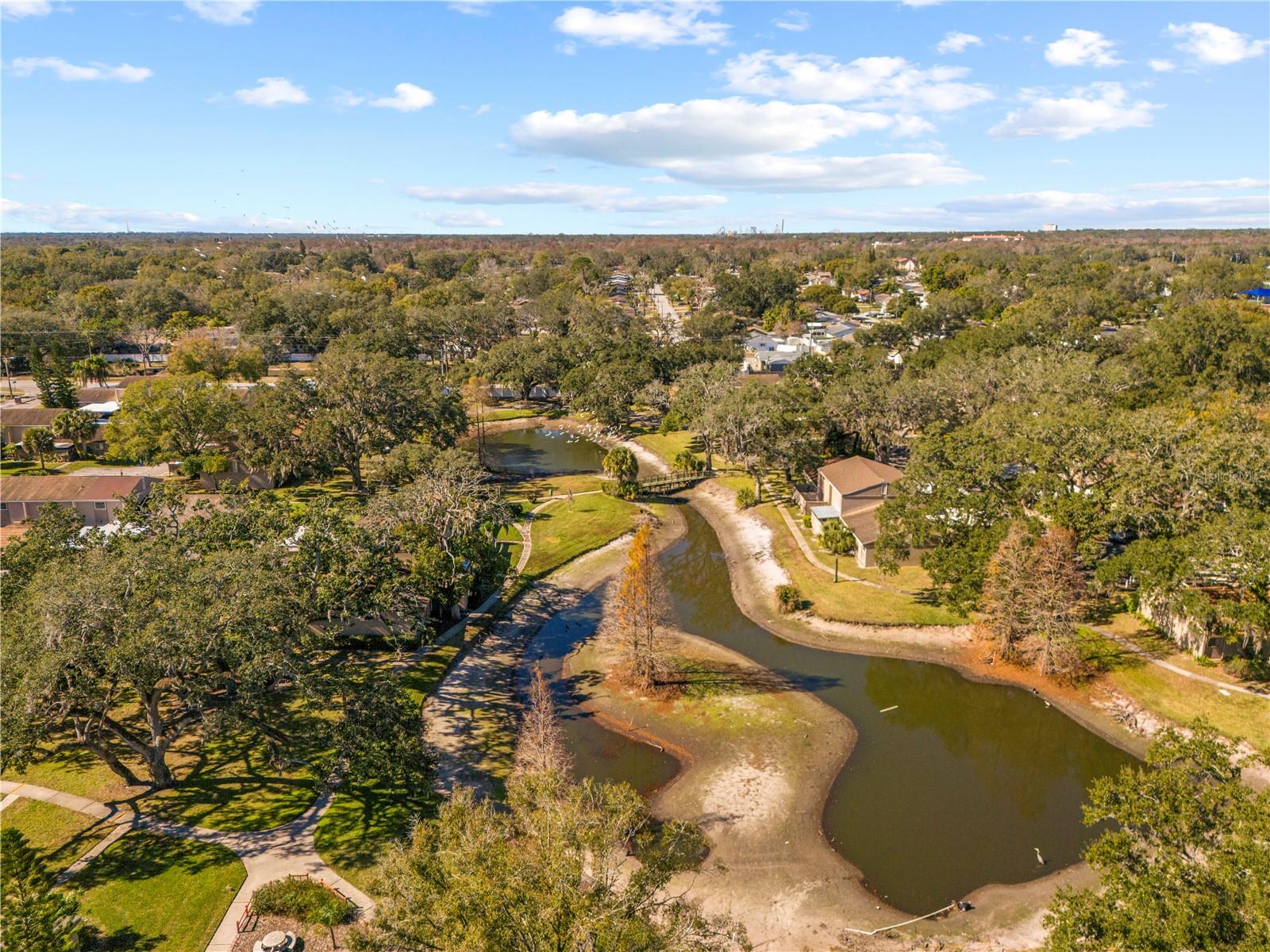 Image 42 of 58 For 8606 Palm Lane