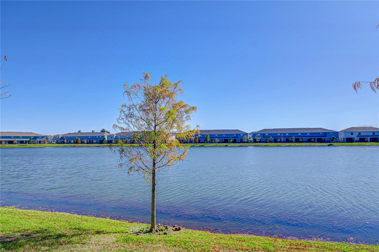 Image 24 of 31 For 219 Mangrove Shade Circle