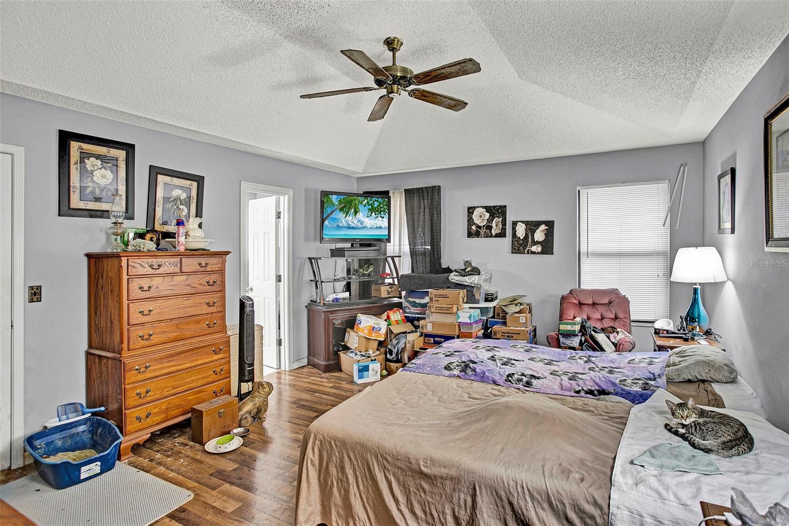 Image 10 of 19 For 3172 Wilderness Drive