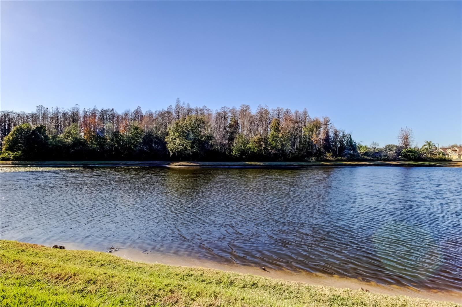 Image 57 of 78 For 3333 Brenford Place