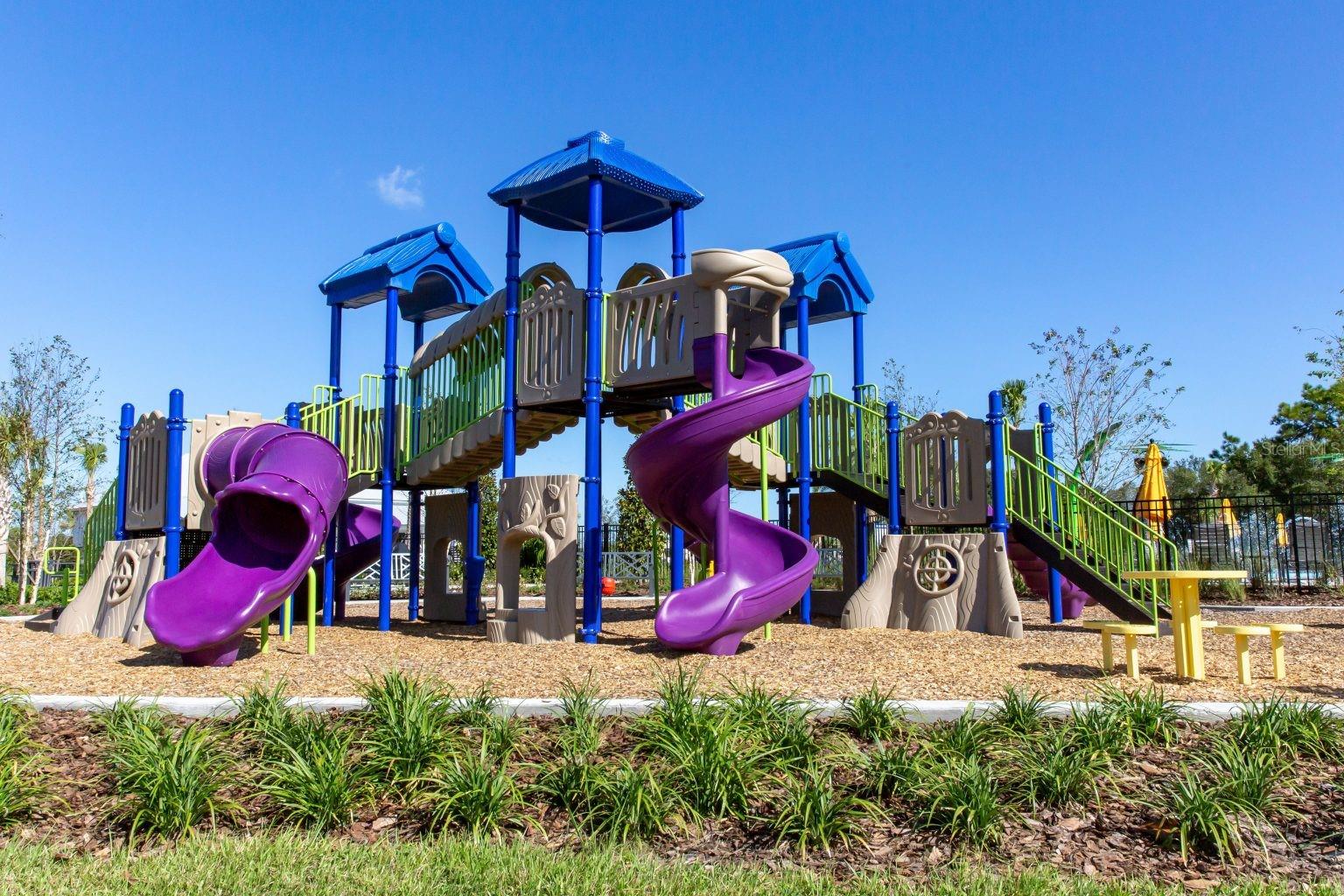 Image 29 of 42 For 33064 Tulip Petal Lane