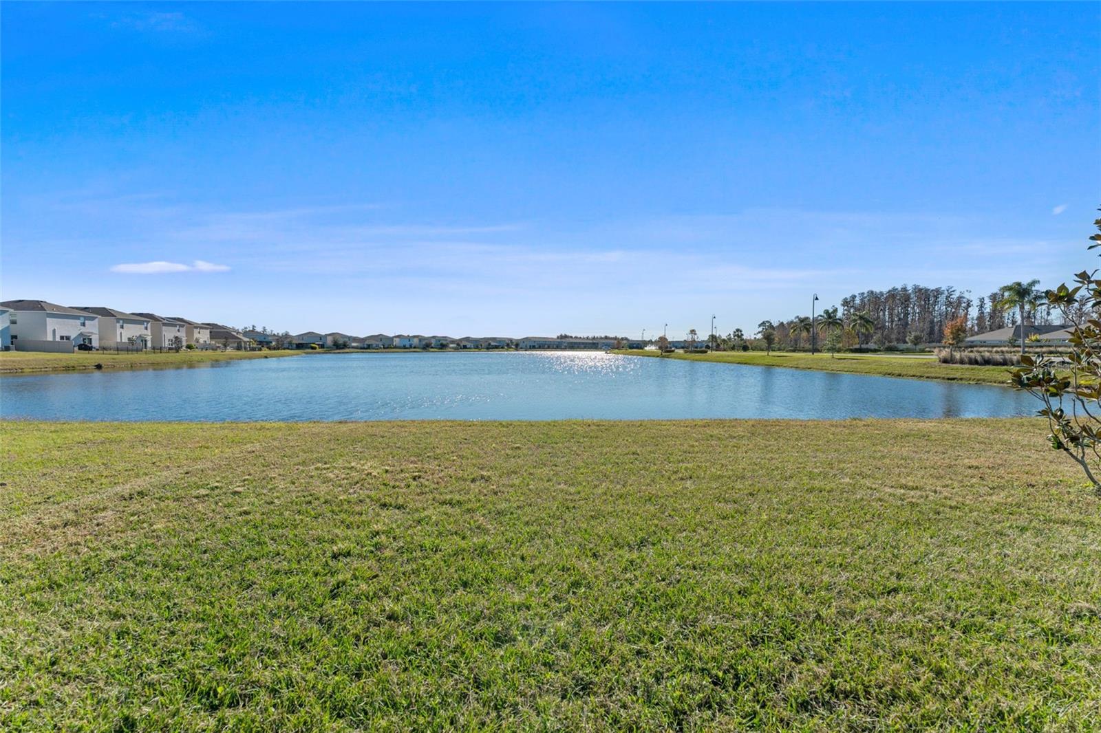 Image 46 of 56 For 15974 Weathered Windmill Terrace