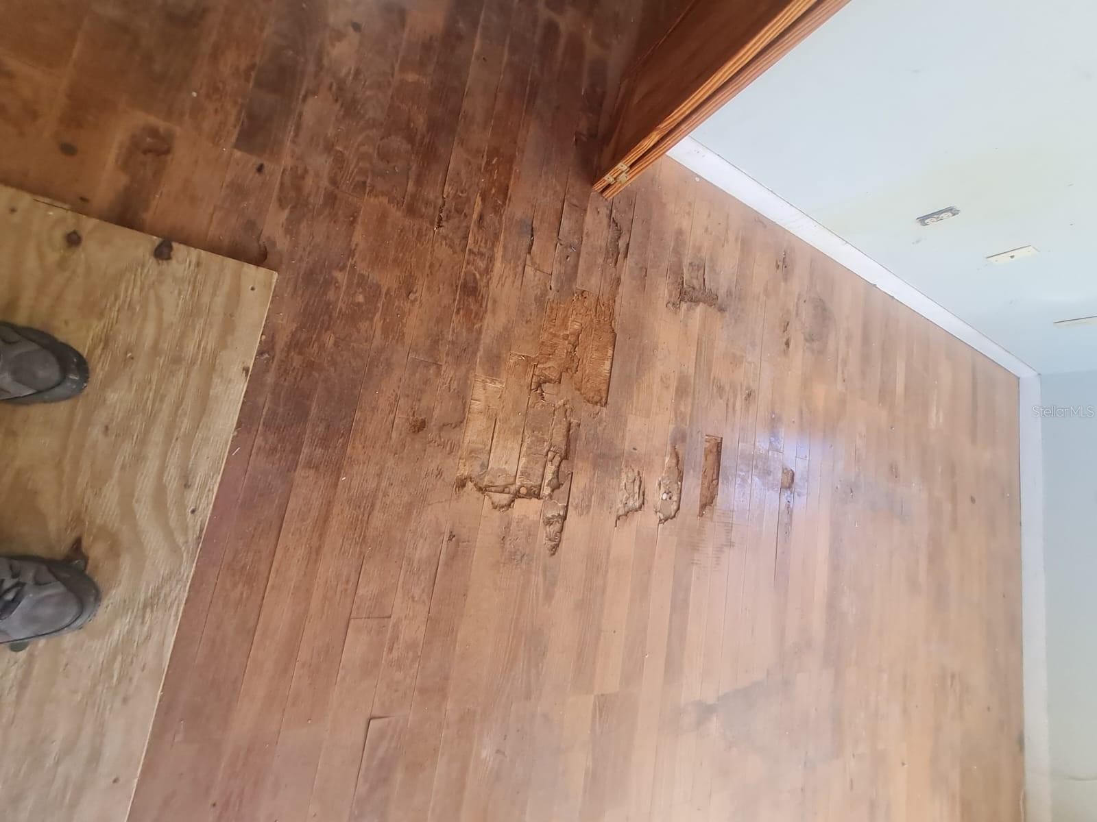 Image 6 of 33 For 5241 67th Street N