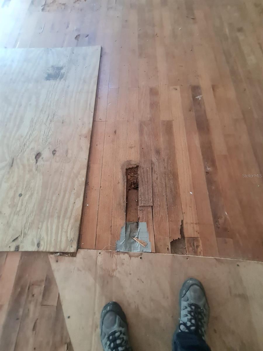 Image 7 of 33 For 5241 67th Street N