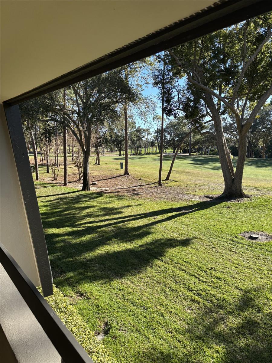 Image 10 of 24 For 36750 Us Highway 19 N 9-224