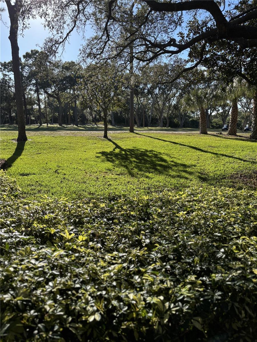 Image 3 of 24 For 36750 Us Highway 19 N 9-224