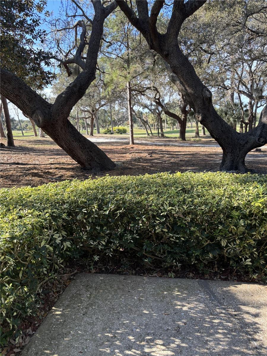 Image 4 of 24 For 36750 Us Highway 19 N 9-224