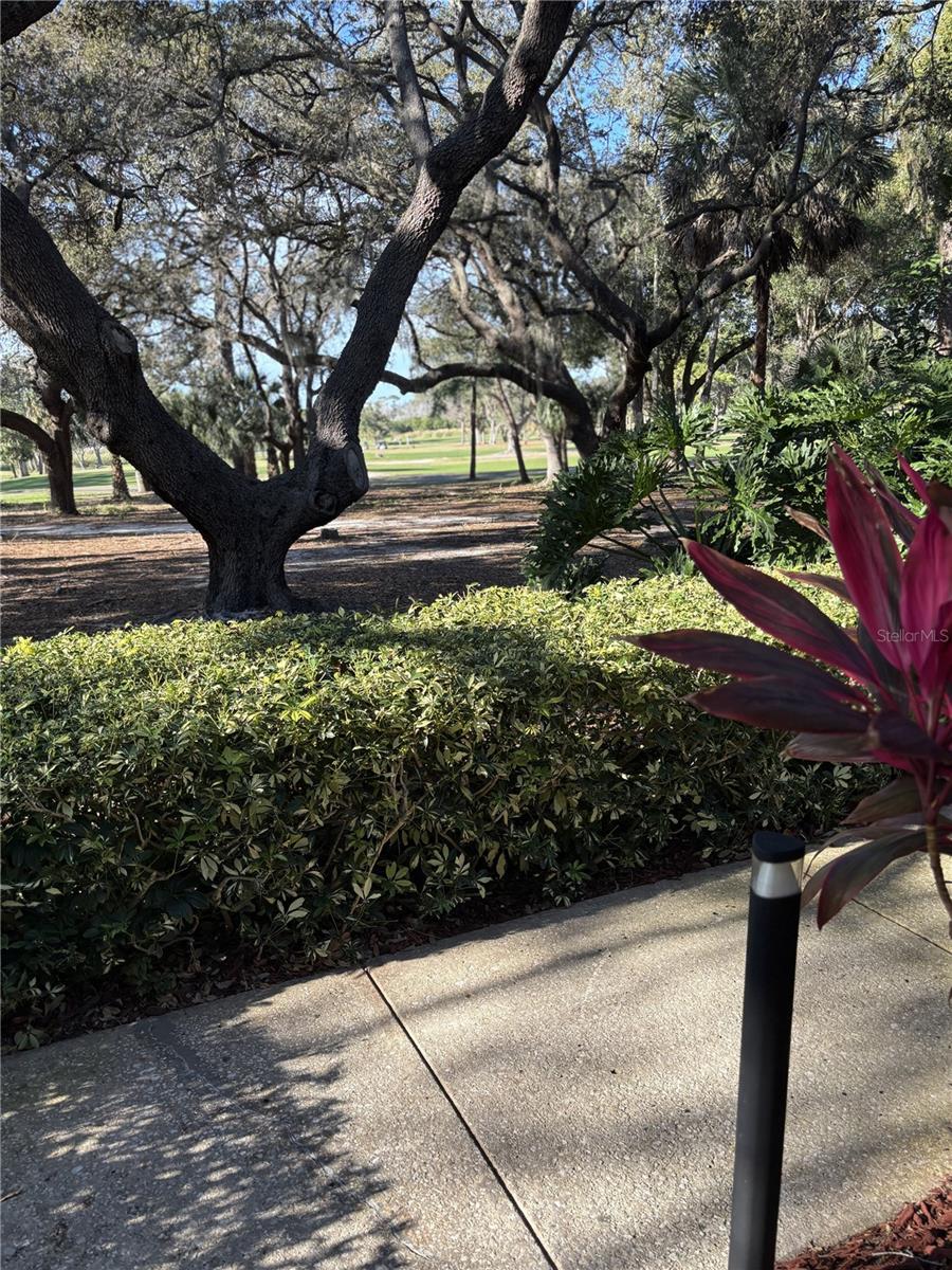 Image 5 of 24 For 36750 Us Highway 19 N 9-224