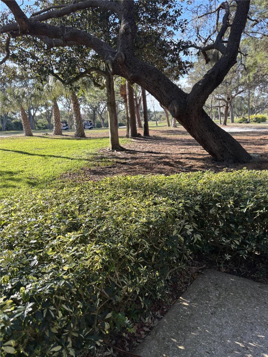 Image 6 of 24 For 36750 Us Highway 19 N 9-224