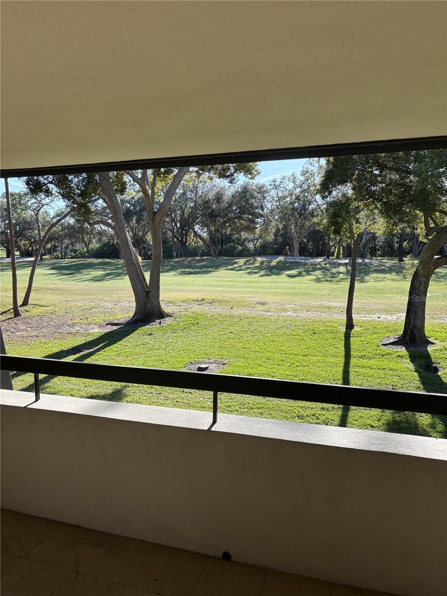 Image 8 of 24 For 36750 Us Highway 19 N 9-224