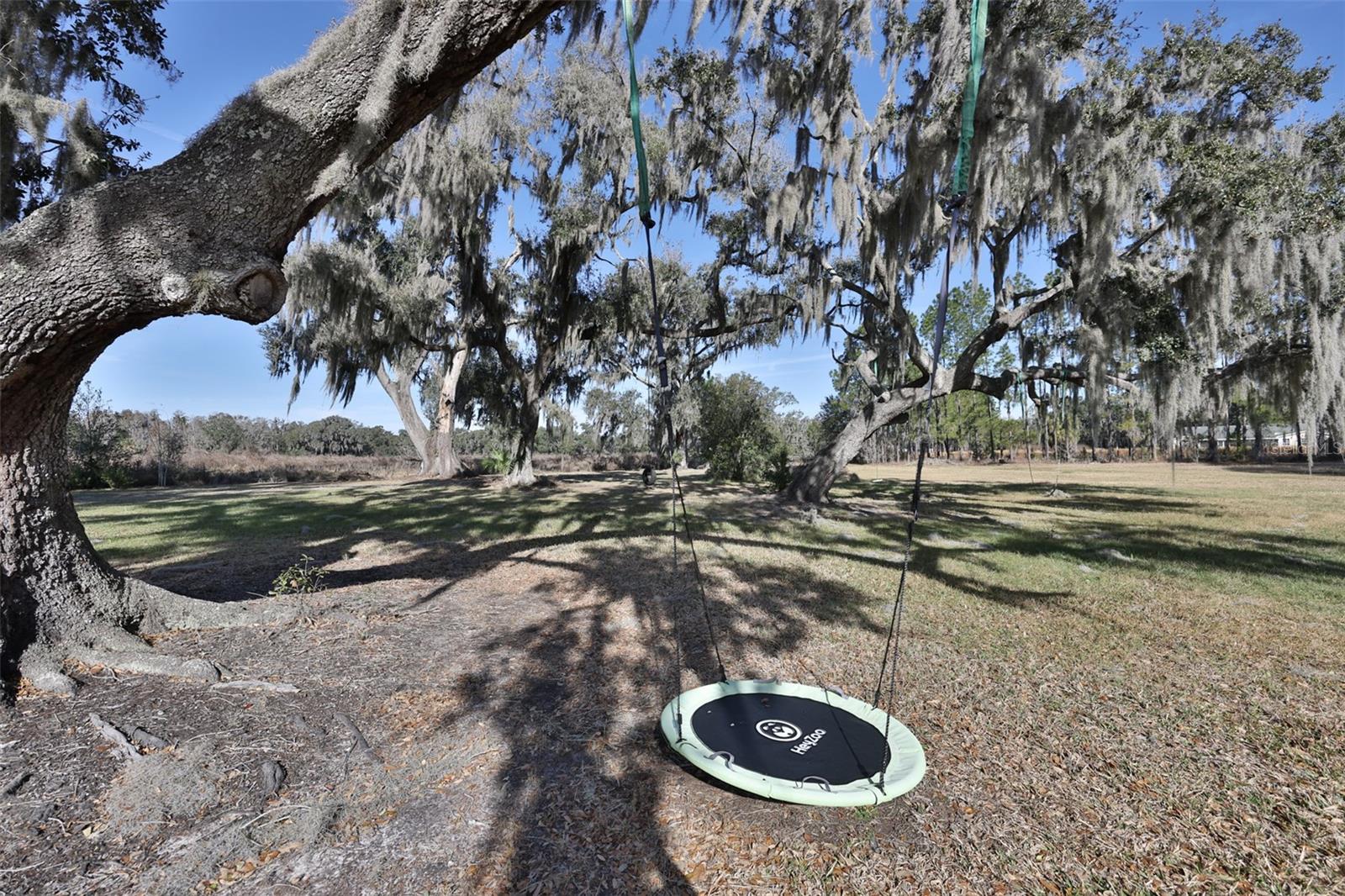 Image 7 of 40 For 603 Half Mile Road