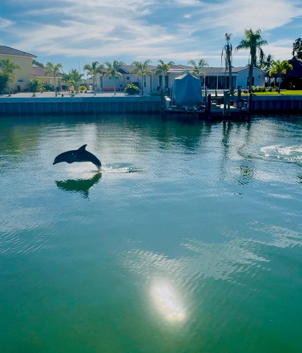 Image 46 of 48 For 3784 42nd Avenue S