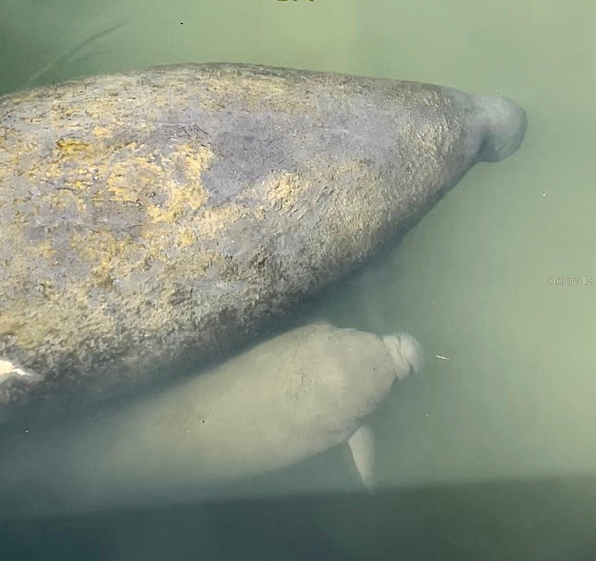 Image 47 of 48 For 3784 42nd Avenue S