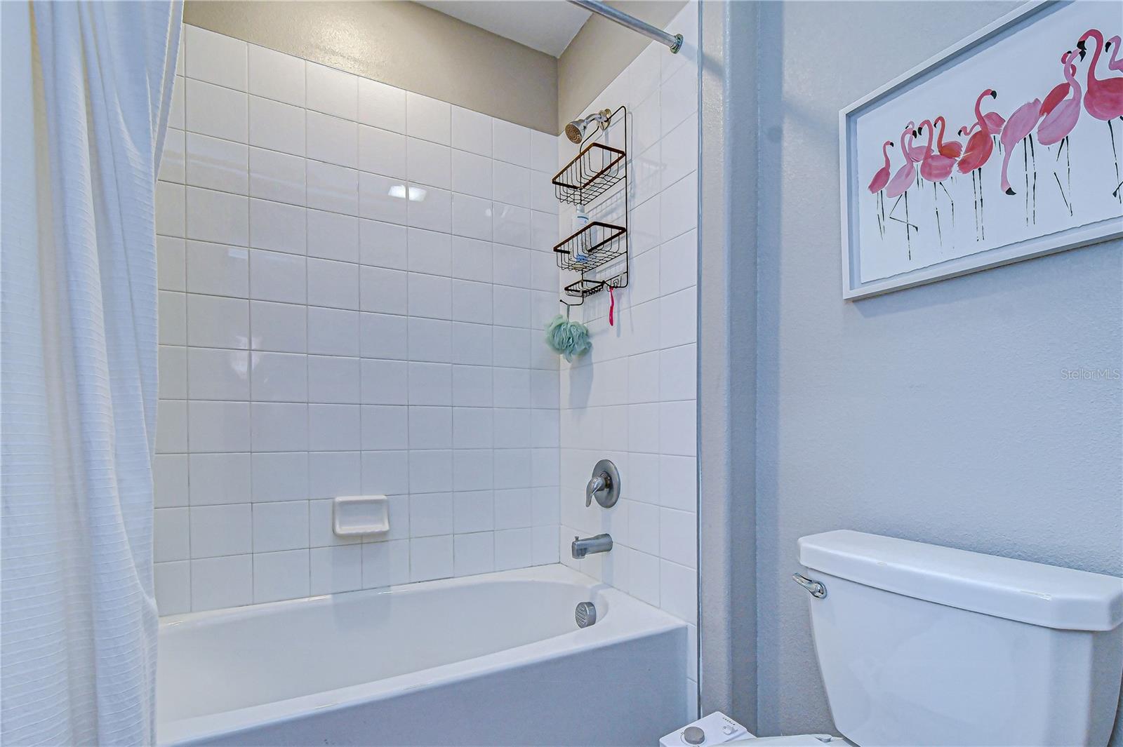 Image 42 of 54 For 10013 Rosemary Leaf Lane