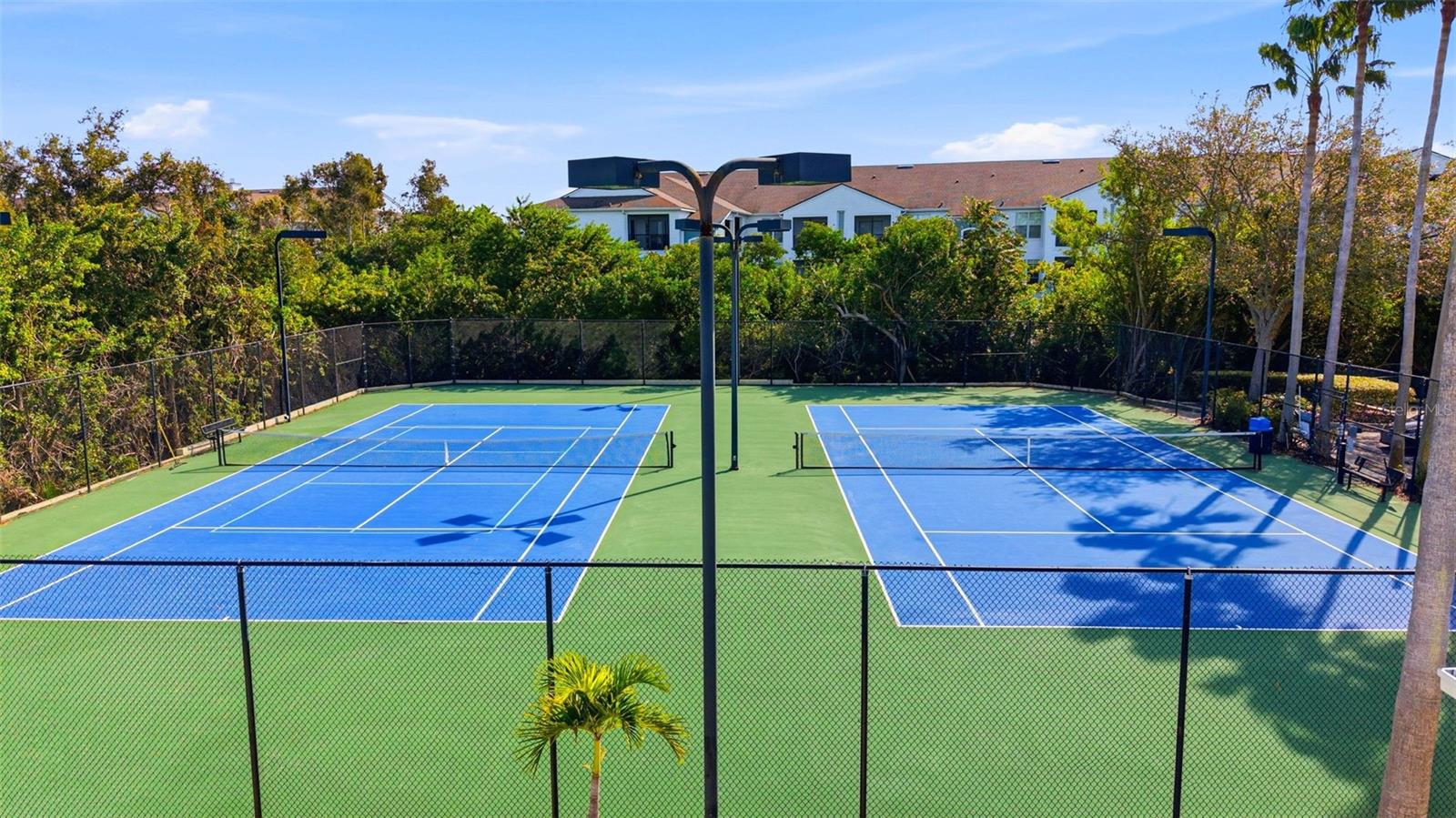 Image 38 of 46 For 541 Black Lion Drive Ne