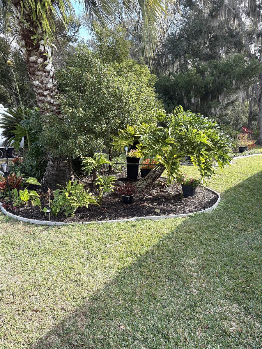 Image 21 of 22 For 29129 Johnston Road 2547