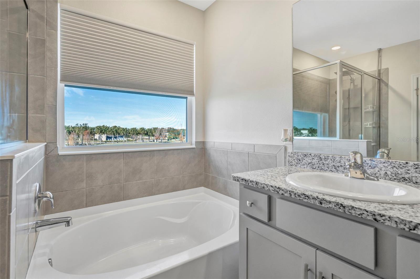 Image 41 of 74 For 16638 Mooner Plank Circle