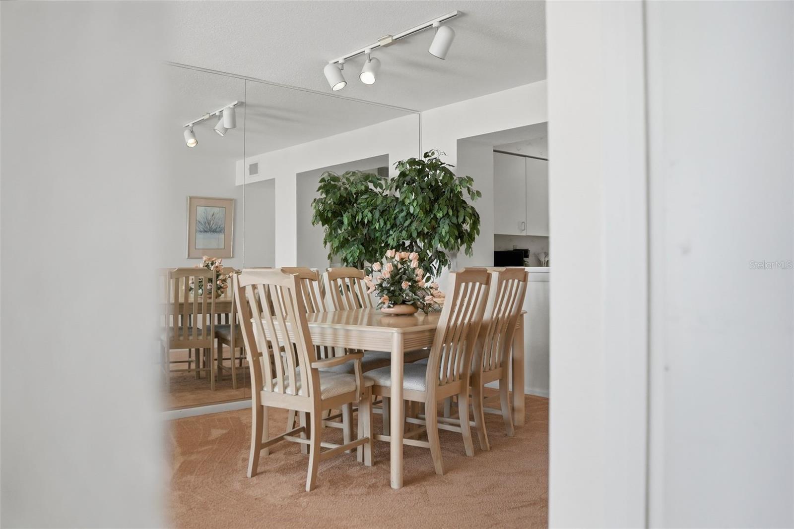 Image 31 of 52 For 6001 Bahia Del Mar Circle 529