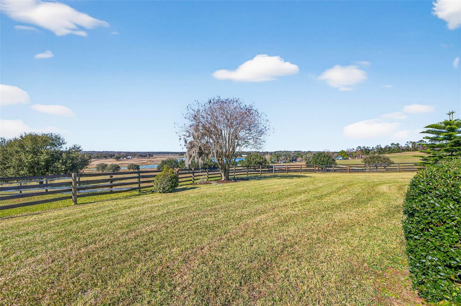 Image 49 of 77 For 36649 Covington Road