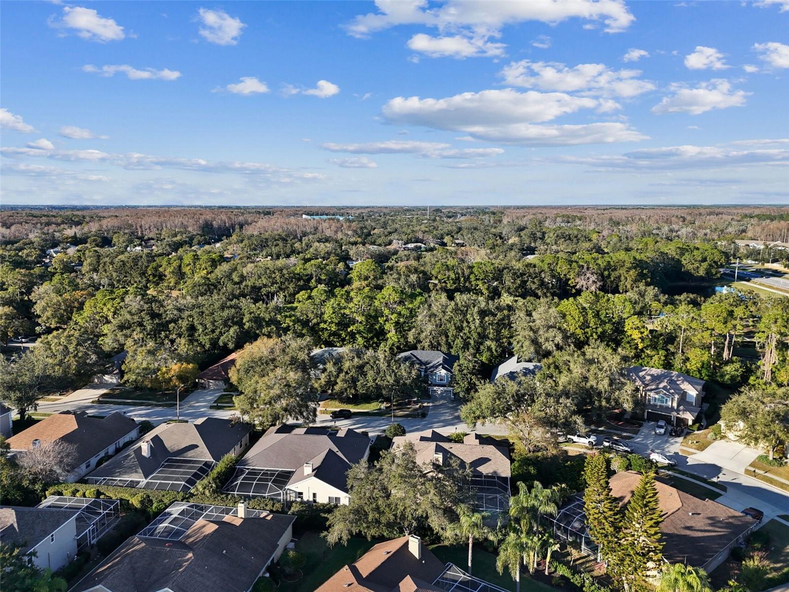 Image 90 of 100 For 4320 Auston Way