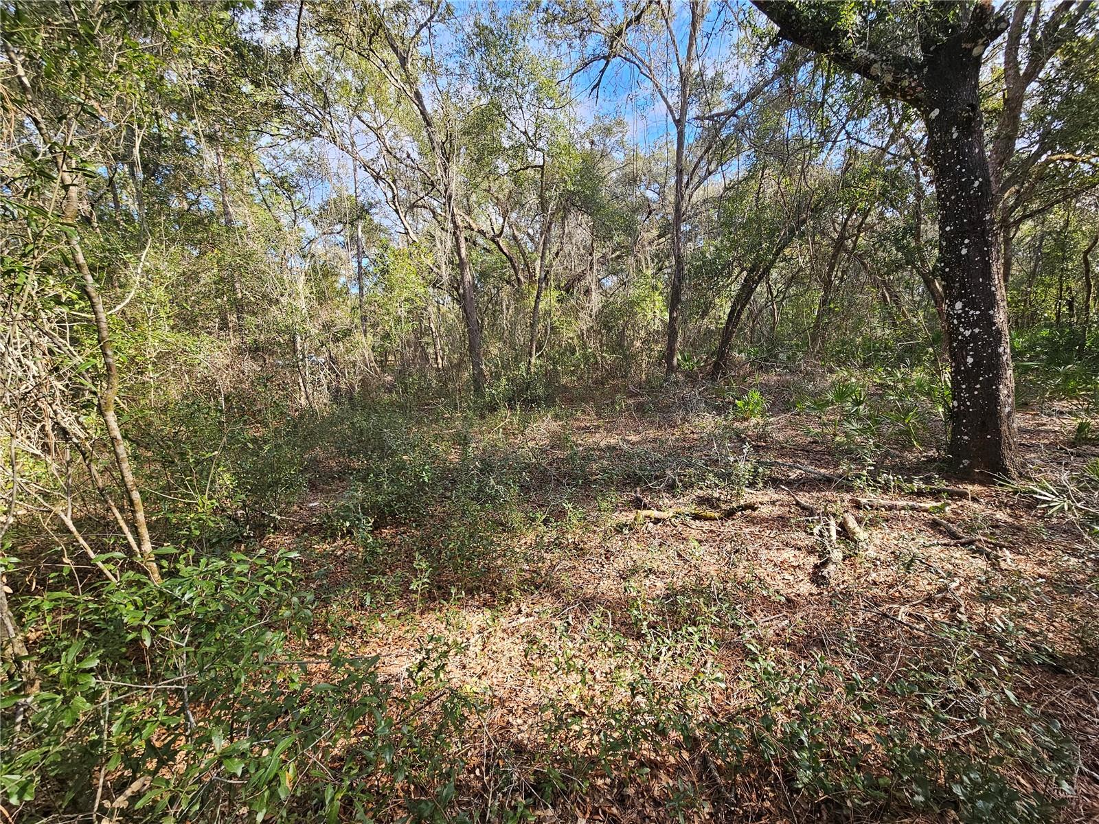 Image 11 of 18 For Rosehill Drive